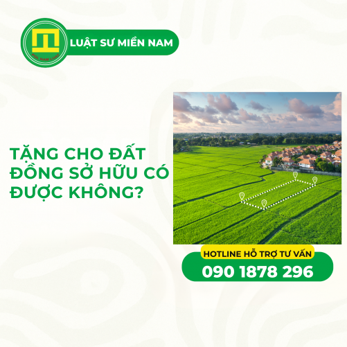 TẶNG CHO ĐẤT ĐỒNG SỞ HỮU CÓ ĐƯỢC KHÔNG?